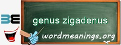 WordMeaning blackboard for genus zigadenus